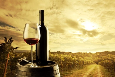 Wine HD Wallpaper, Wine Images, New Wallpapers