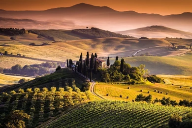 Tuscany Wine   Wallpaper.