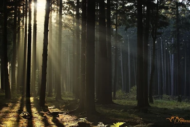 Wallpapers Metal Blaser Active Outfits 1680x1050