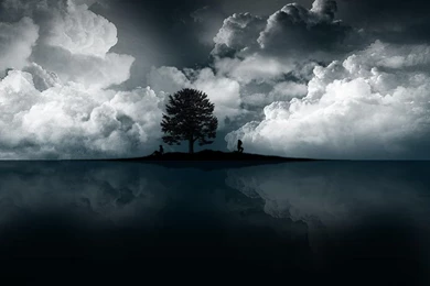 6981 1280x800 Wallpapers