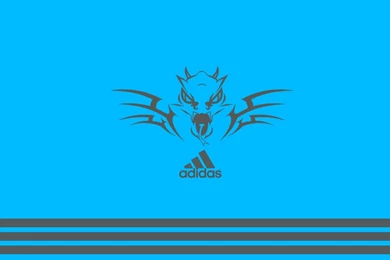 Adidas Hd Wallpapers ›› Page 0