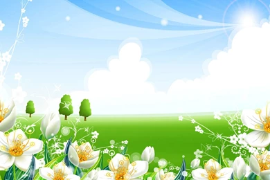 Wallpapers Background_hd Wallpaper_download Free Wallpapers