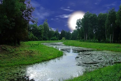 Free widescreen wallpaper for desktop.jpg