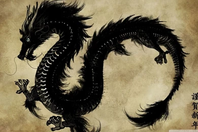 Chinese Black Dragon HD Desktop Wallpapers : High Definition ...