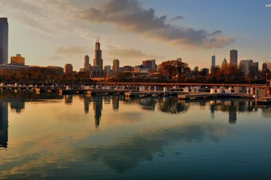 Chicago Skyline Tattoo   Wallpaper.