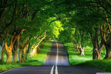 Road, Summer HD Desktop Wallpapers : Widescreen : High Definition ...