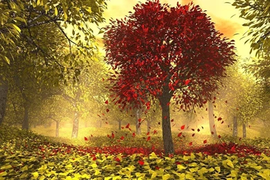 HD, 3D, Creative, Desktop, Wallpaper,image