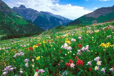 Colorado Wallpapers HD 613 Awesome