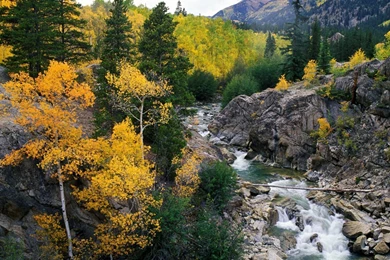 1920x1080   Page 1215