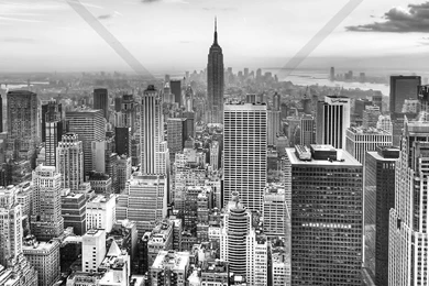 New York Wallpapers & Wall Murals