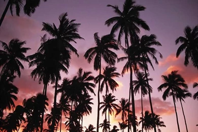 Home Design Ideas: February 2014