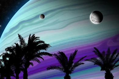 Space View Over Palm Trees Wallpapers   Digital Art Wallpapers