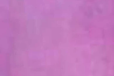 Solid Purple Backgrounds