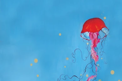 Jellyfish Wallpapers Elegant Download 42368 Full HD Wallpapers ...