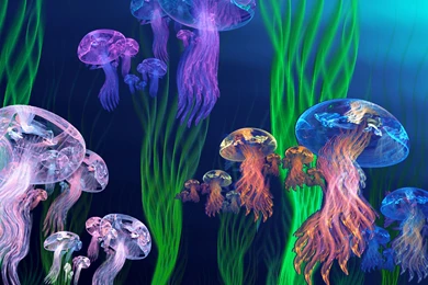 Download Wallpapers 3840x2160 Jellyfish, Underwater, Sea 4K Ultra ...