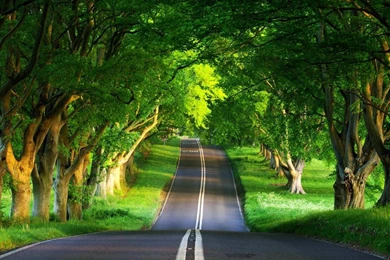 23951 matrix moving free pc wallpapers download attachment