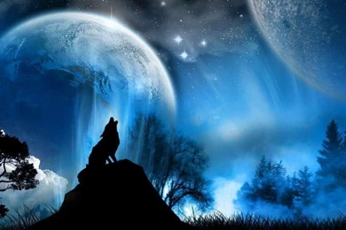 HD Wolf Wallpapers