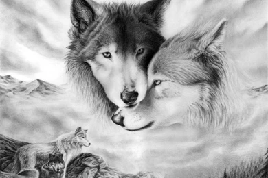 Free Wallpapers Wolves