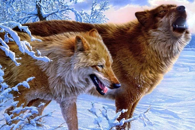 Horrifying Wolves Wallpapers