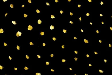 Free Gold Faux Foil iPhone Wallpapers   Silver Spiral Studio