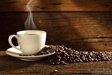 Casual Socials/Mentoring Events