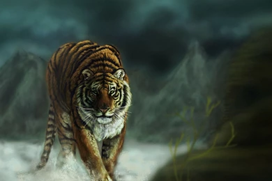 Animals Full UHD Wallpapers 16   Ultra High Definition Wallpapers ...