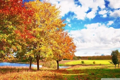 Beautiful Autumn Day HD Desktop Wallpapers : Mobile : Dual Monitor