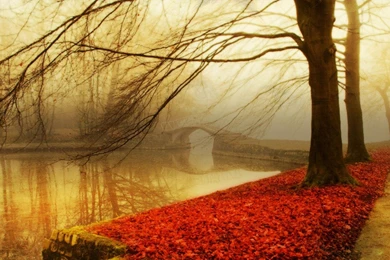 Wallpapers Hd Autumn Fall