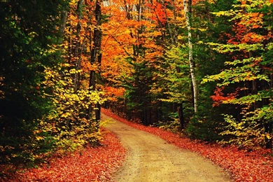 Snow Wallpapers HD Images New