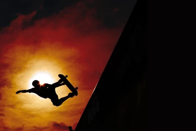 HD Quality Extreme Sport Skateboard Wallpapers 8   SiWallpapers 12152