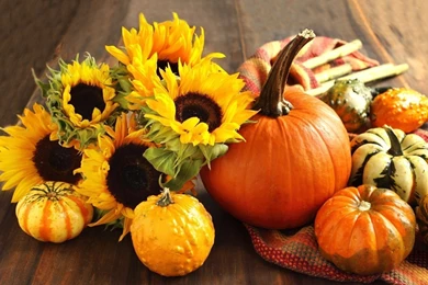 Fall Wallpaper_hd Wallpaper_download Free Wallpapers