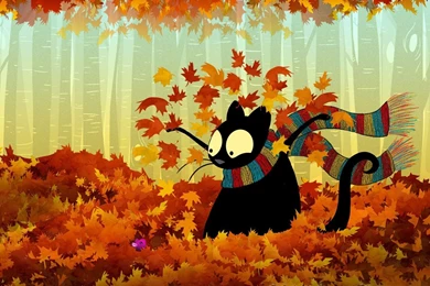 Echo The Cat Fall Wallpapers