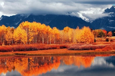 Landscape Autumn Hd Wallpapers