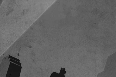 Batman Silhouette iPhone 5 Wallpapers (640x1136)