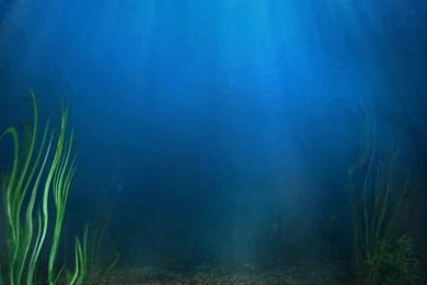 185 Underwater Backgrounds By Tigers stock On DeviantArt