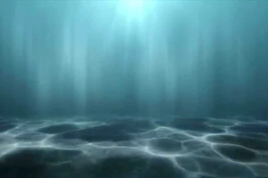 Underwater   Free Footage/Backgrounds   YouTube