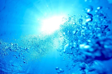 Underwater Wallpapers Full HD