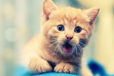 Best HD Wallpapers HD Desktop Wallpapers : High Definition ...