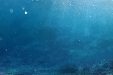 Underwater Stock   Premade Backgrounds 2 By YaensArt On DeviantArt