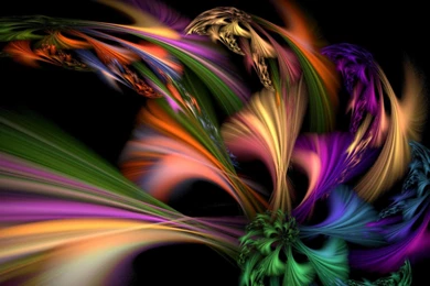 Hd Wallpapers Gallery Download