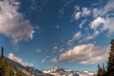 iPhone 6 Backgrounds: Nature   IPhone6wp.com