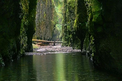 Fuji Volcano, Japan, Asia, Geography, Cherry Blossom,