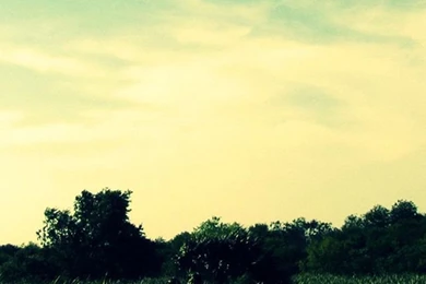 Lomo Nature iPhone 5s Wallpapers Download