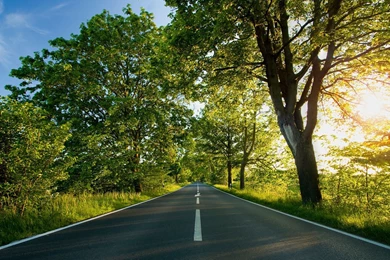 Scenery, Zealand, Landscape, Background, Collection (