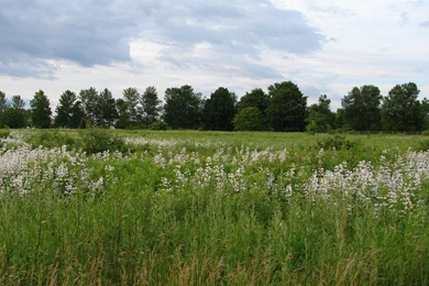 Nature Landscape Backgrounds 5 By FantasyStock On DeviantArt