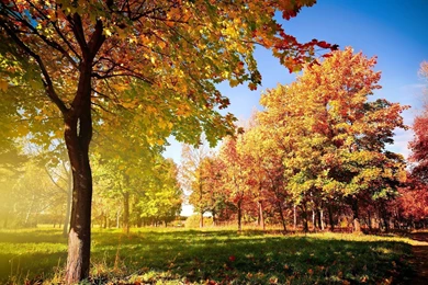 Colorful Autumn Landscape Wallpaper Backgrounds