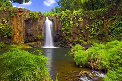 Others Diverse Landscape Backgrounds Image Free High Quality ...