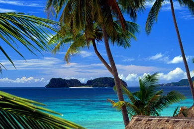 Hd Nature Wallpapers, Landscape, Flowers, Cute Desktop Images ...