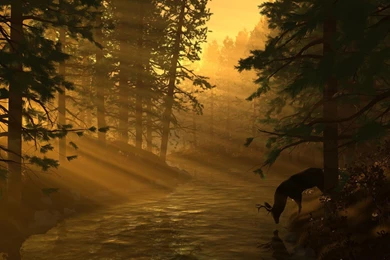 Sunset And River Landscape Backgrounds Widescreen And HD ...