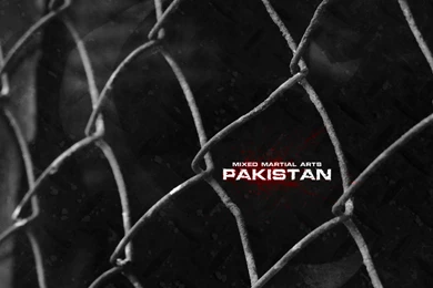 DeviantArt: More Like PAK MMA Wallpapers Version 1.1 By Breakula